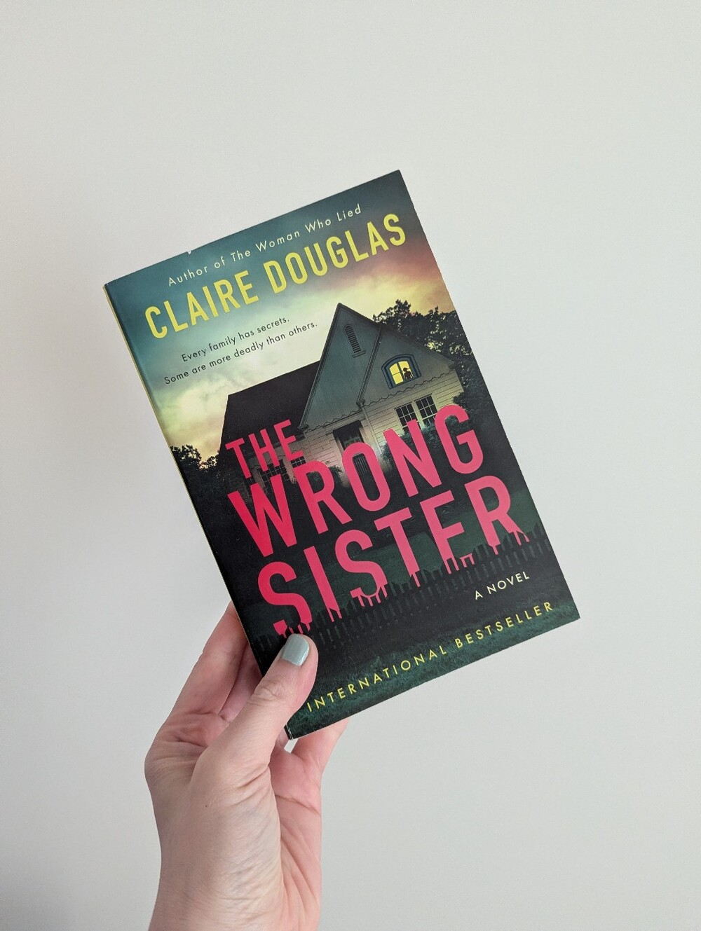 3 for $20 | Book: The Wrong Sister (2024)
